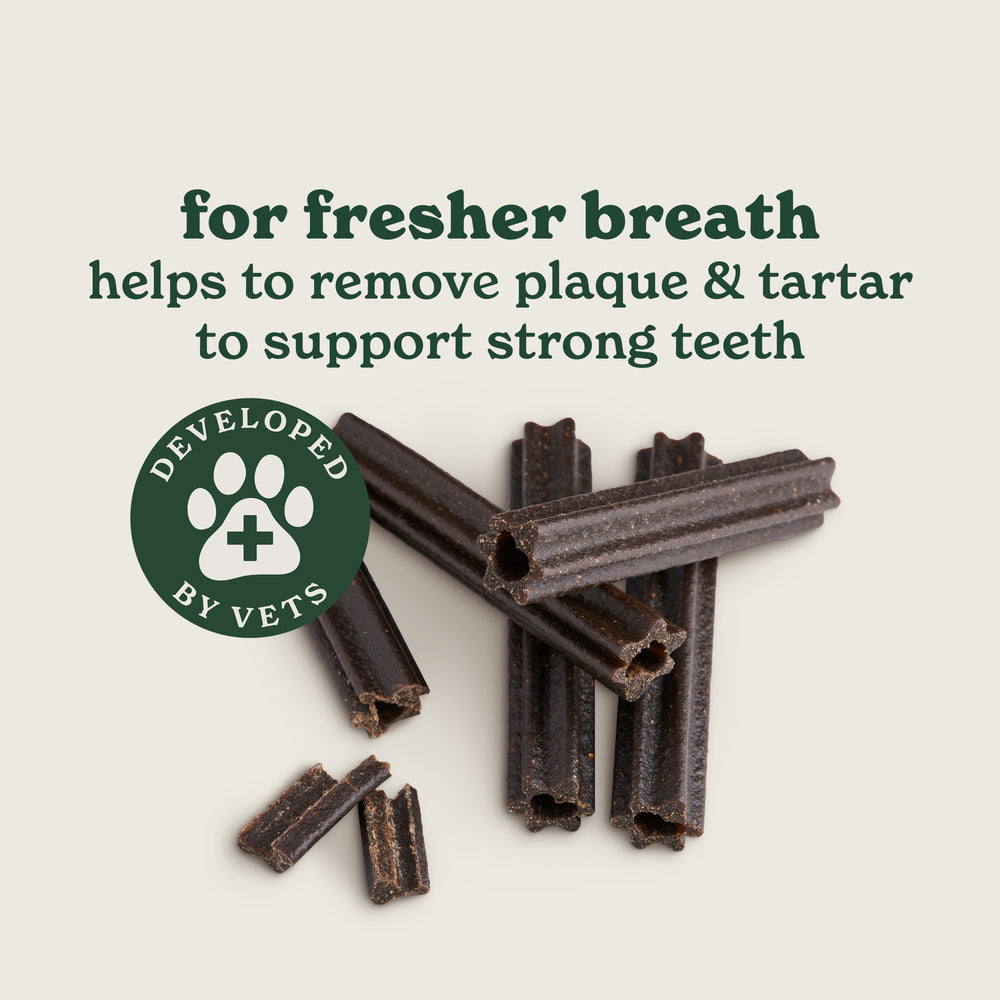 Forthglade Dog Food Taster Pack