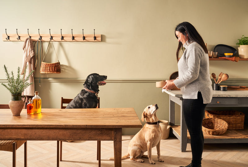 GF 395g SNR Enrichment Dog 18 Large b6f94621 7258 4c1a a240 1a4a112e1feb