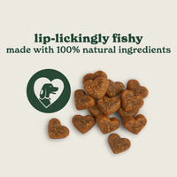 Salmon & Dill Treats (1 x 70g)