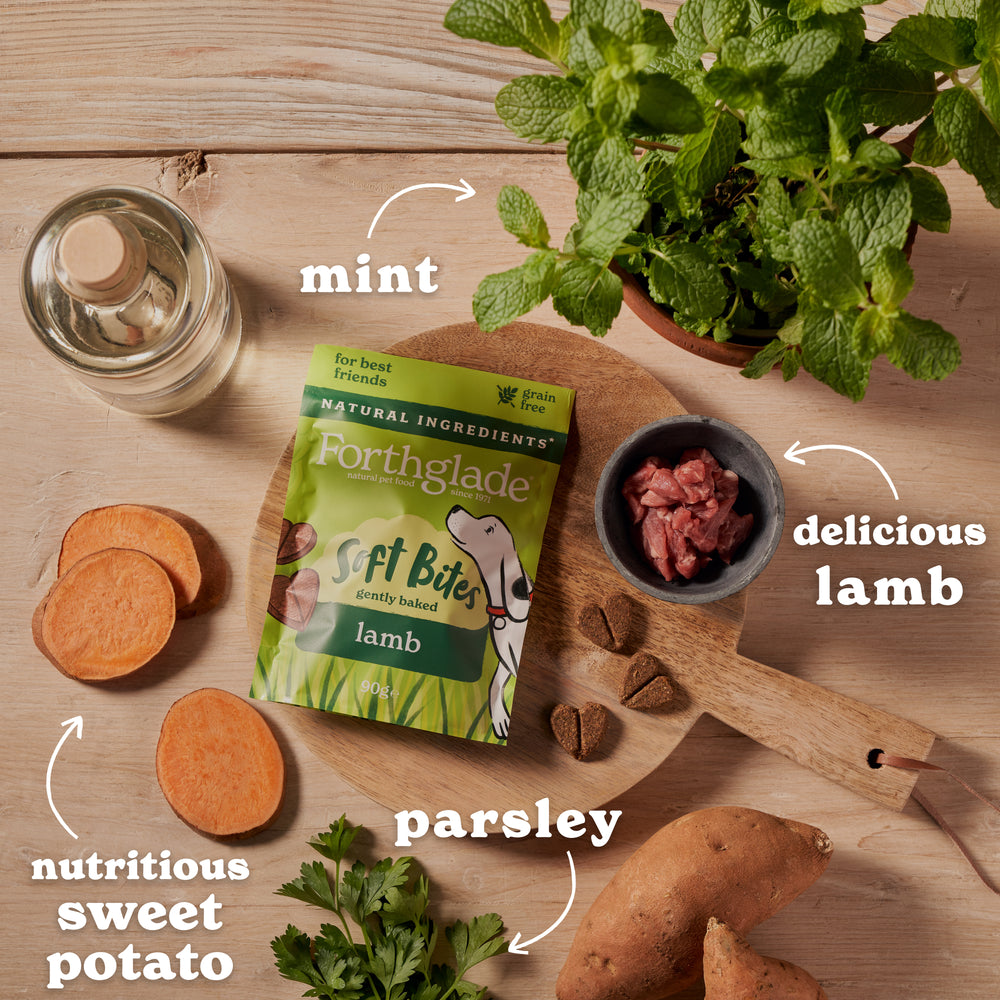 Soft Bites Lamb Dog Treats