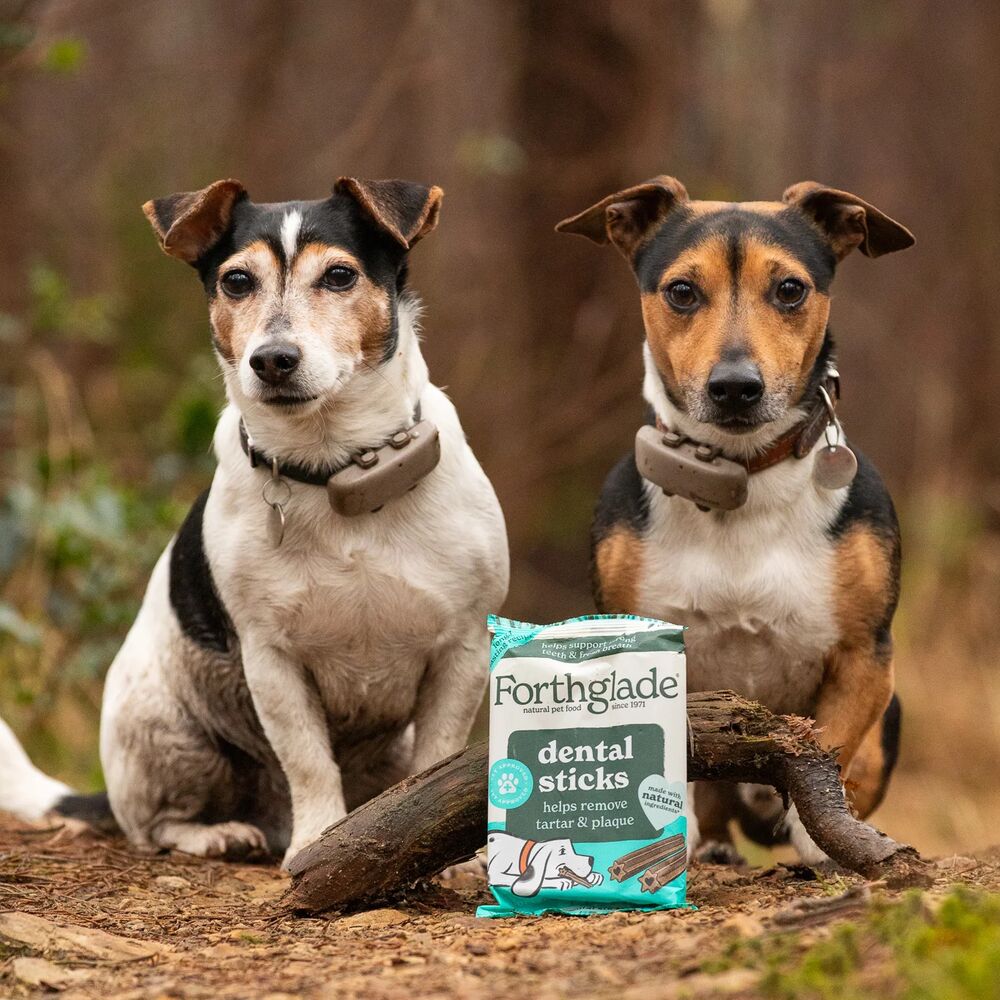 charlesthejrt BR