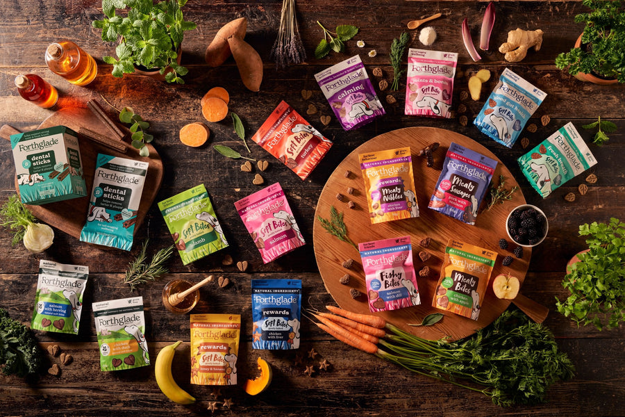 Healthy Dog Treats