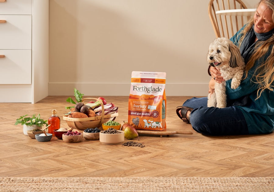 Dry Puppy Food
