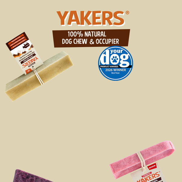 2994 HP Banner Yakers   Desktop V2