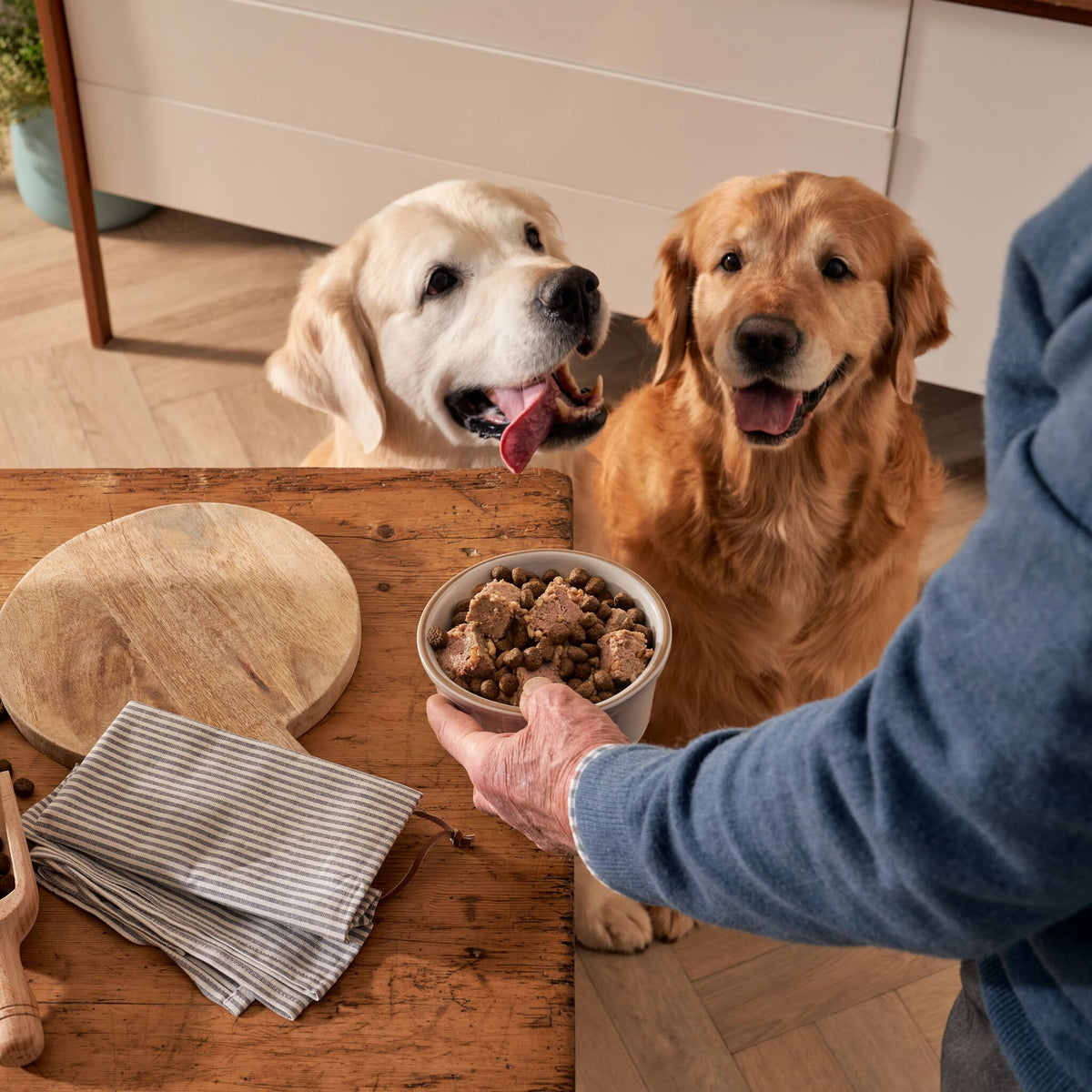 Chicken & Liver Wet Dog Food + Lightly Baked Chicken Bundle (1 x 6kg + 12 x 395g)