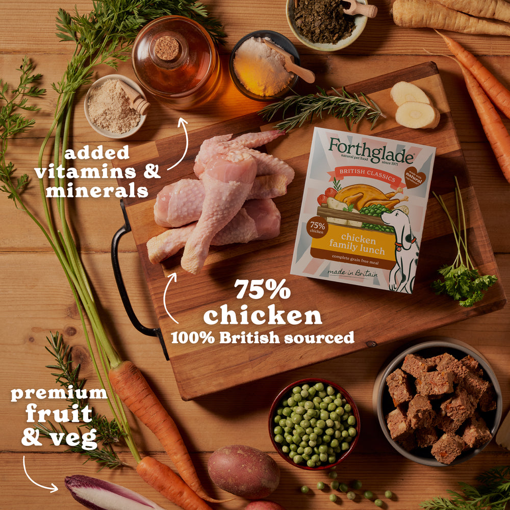 British Classics Chicken Family Lunch Wet Dog Food (Single Tray)