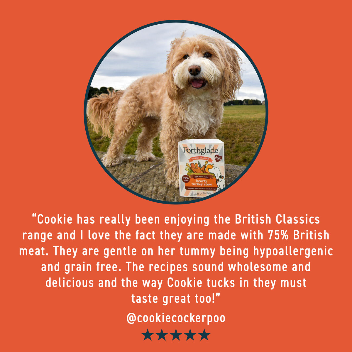 British Classics Lamb Shepherd's Pie Wet Dog Food