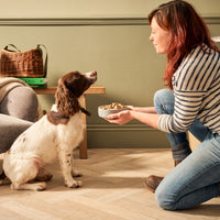 Chicken, Liver & Duck Wet Dog Food Multipack