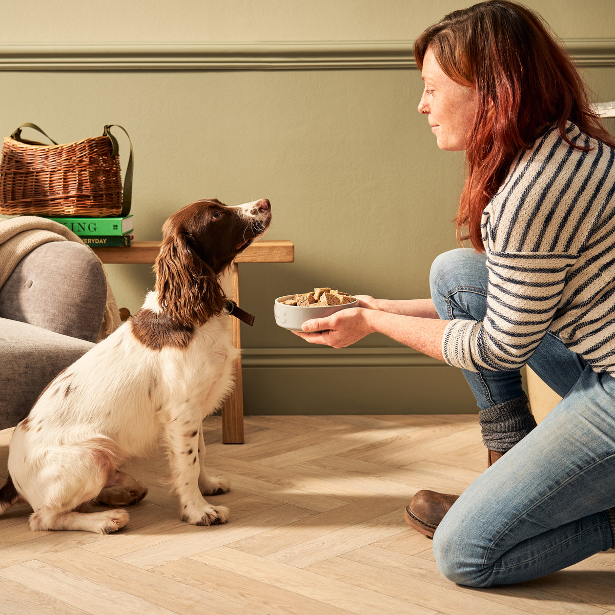 Chicken, Liver & Duck Wet Dog Food Multipack