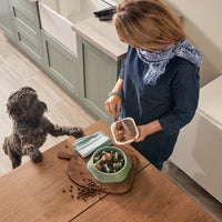 Grain Free Chicken Dog Food Mixed Bundle (1x6kg + 18x395g)