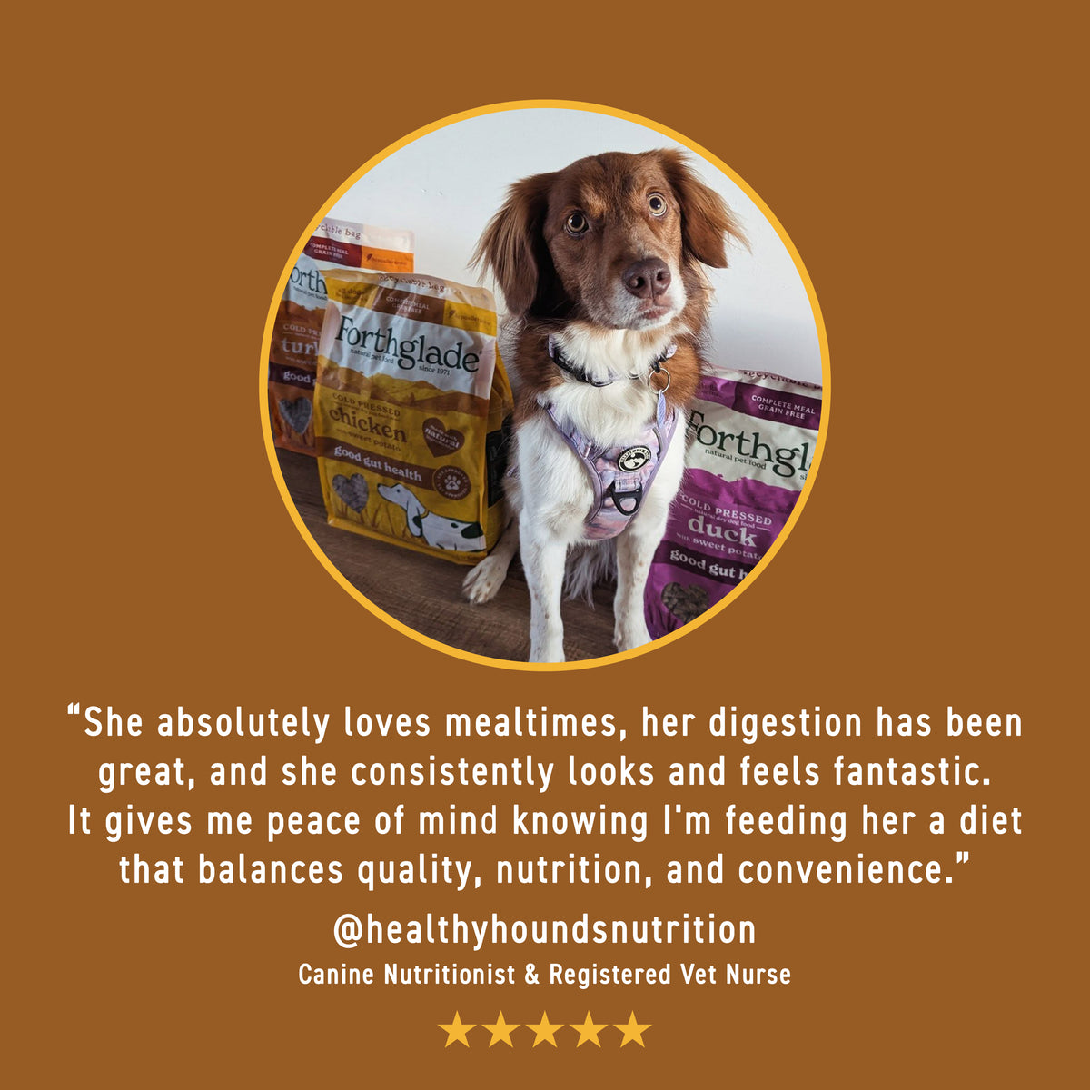 Cold Pressed Dry Dog Food Variety Bundle (4 x 6kg)