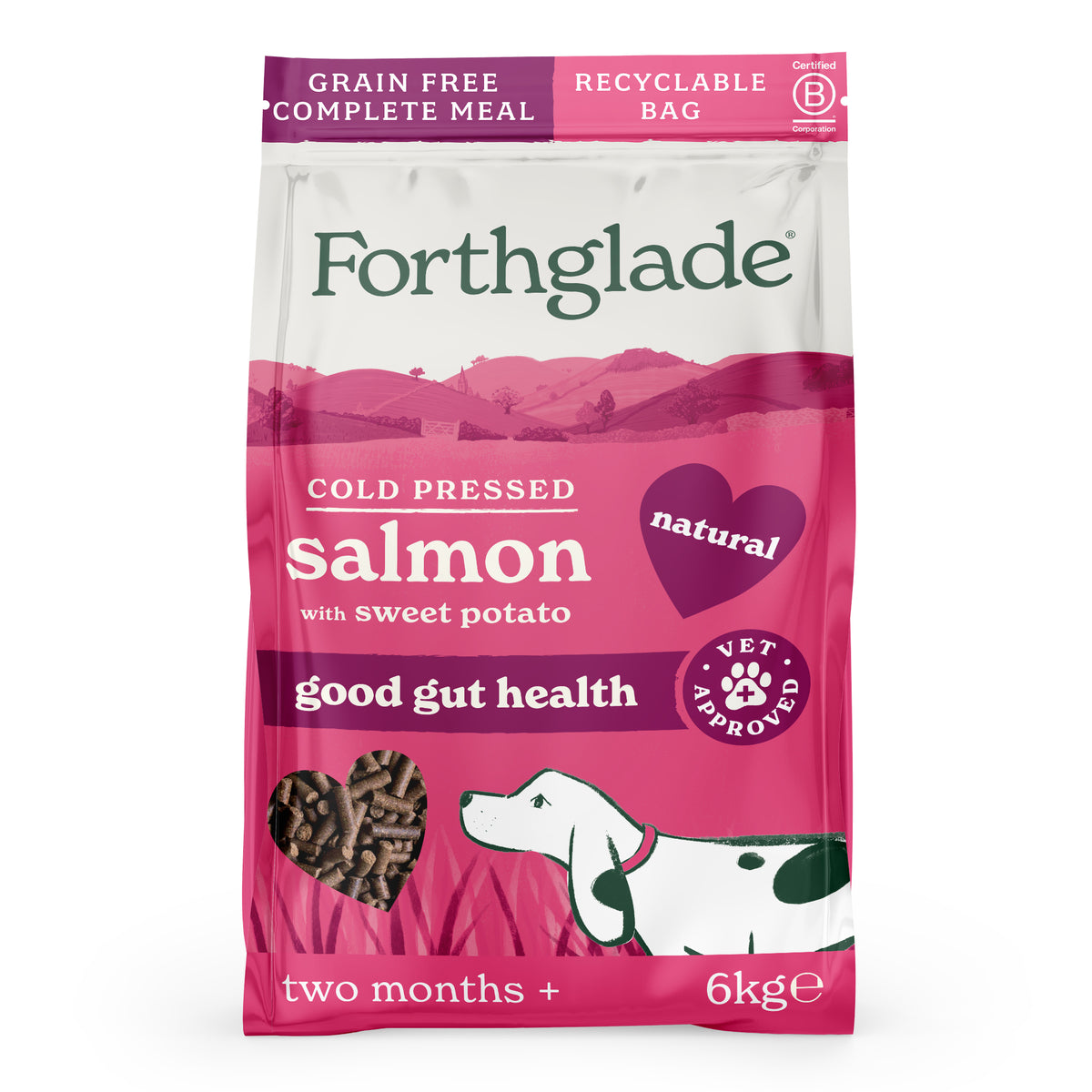 Cold Pressed Salmon Dry Dog Food