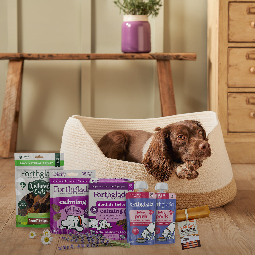 Calming Bundle