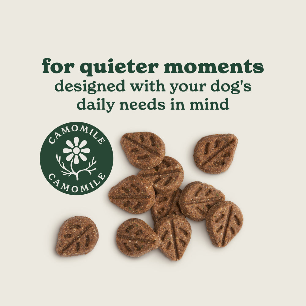 Multifunctional Dog Treats Bundle