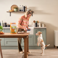 Lightly Baked Chicken Dry Dog Food