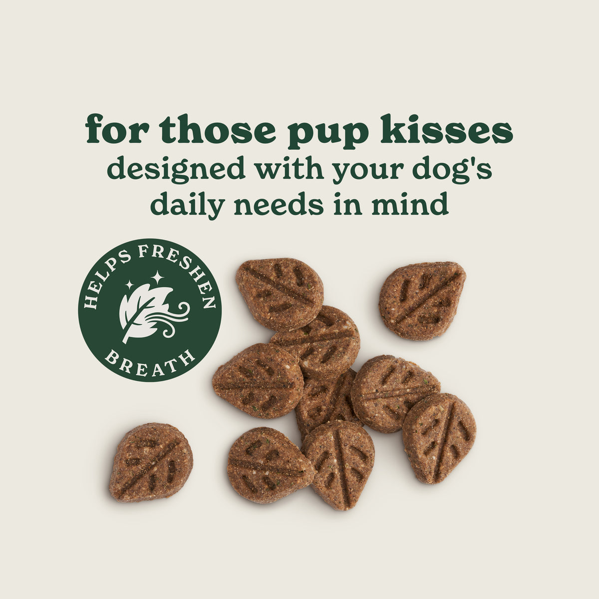 Multifunctional Dog Treats Bundle