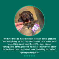 Fresh Breath Dog Dental Sticks (20 x Sticks)