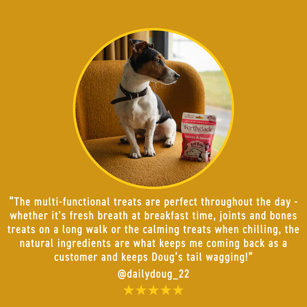 Multifunctional Dog Treats Bundle