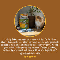 Lightly Baked Lamb Dry Dog Food