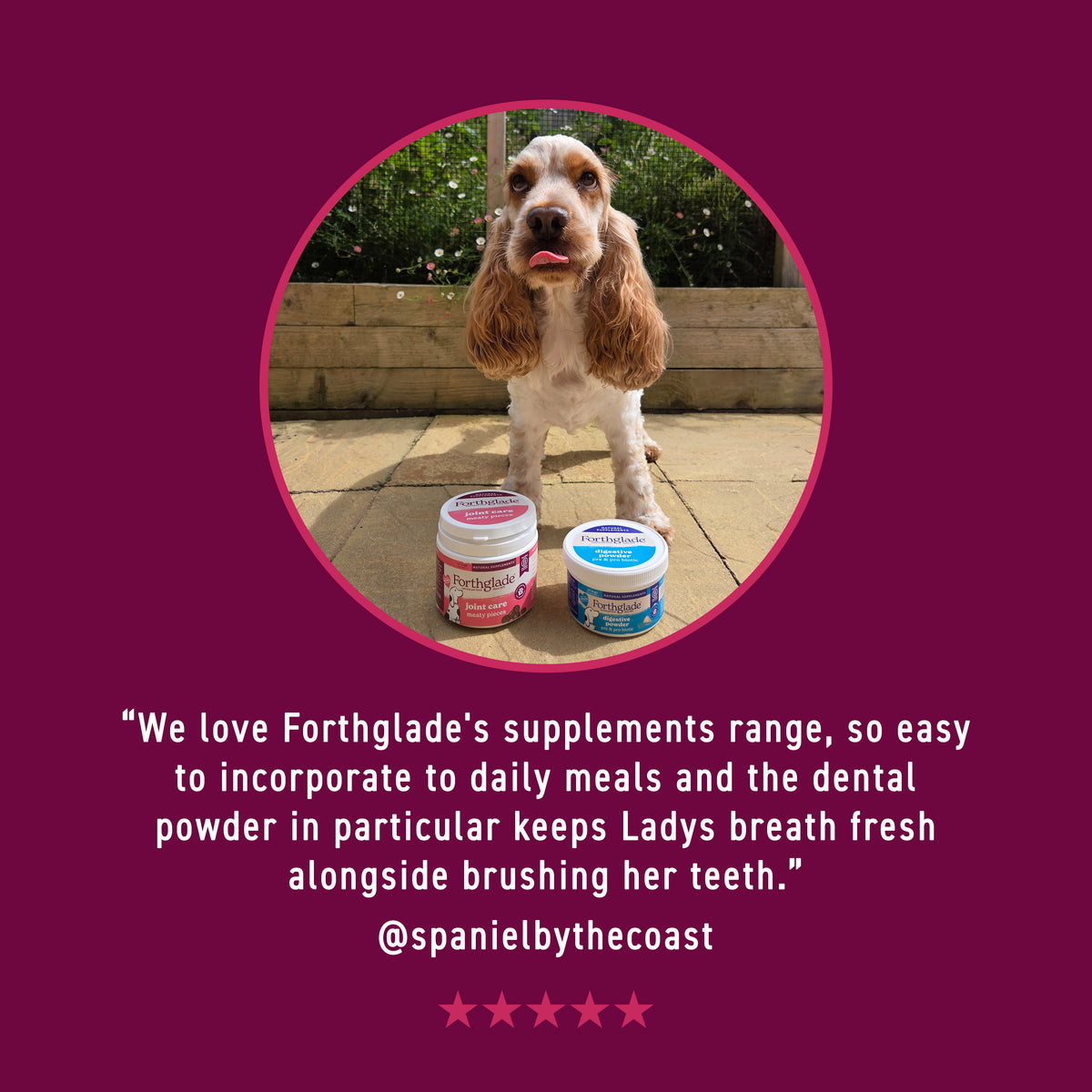 Pre & Pro Biotic Digestive Powder for Dogs