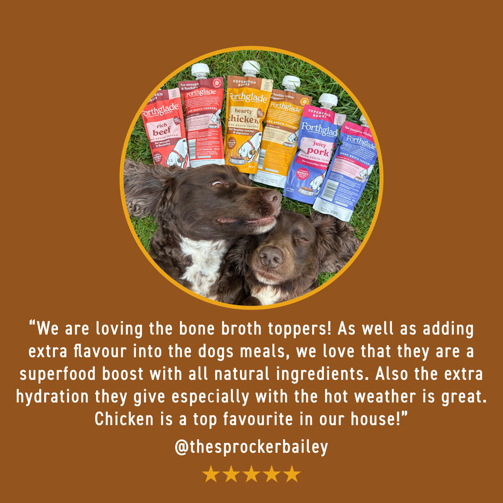 Bone Broth Topper Variety Pack