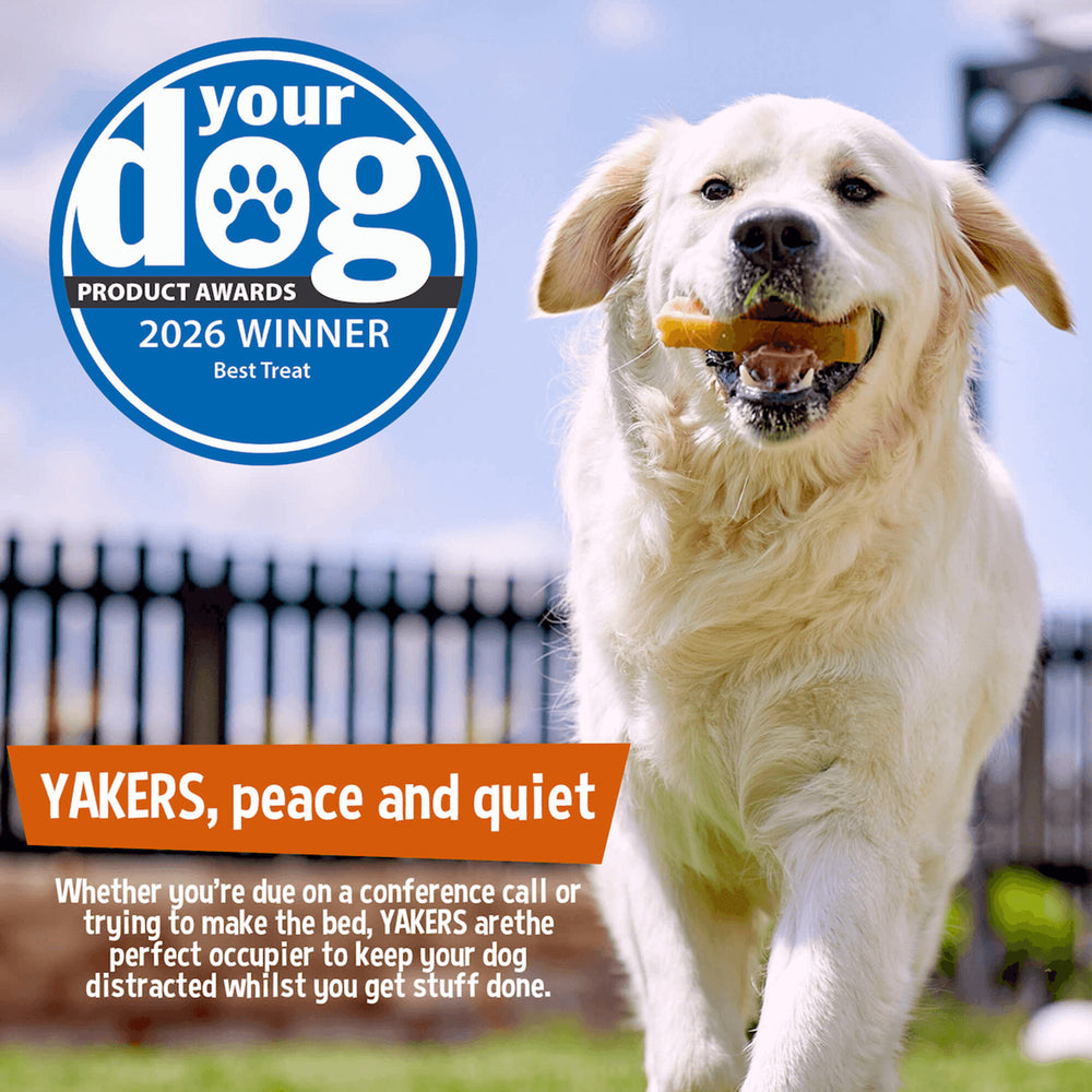 YAKERS Original Dog Chew