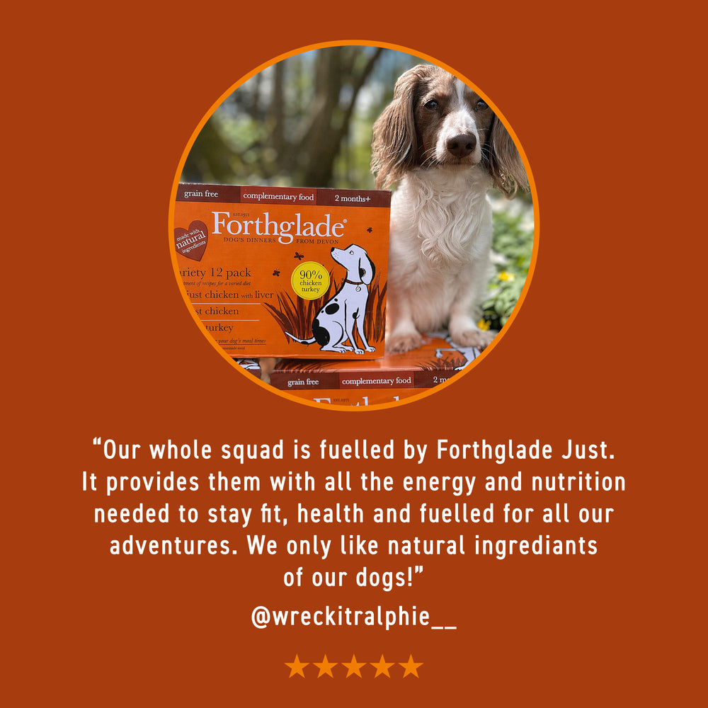 Just Chicken, Lamb & Beef Wet Dog Food Variety Pack