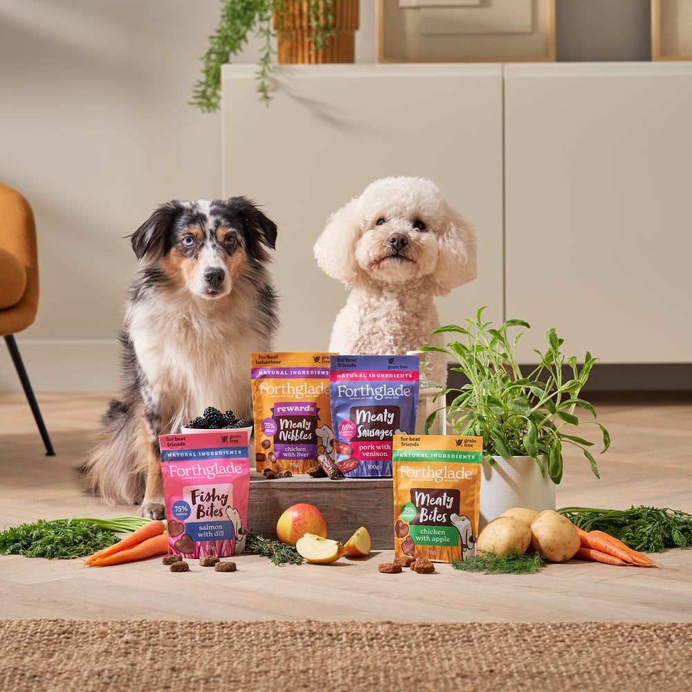 British Classics Wet Dog Food Taster Pack