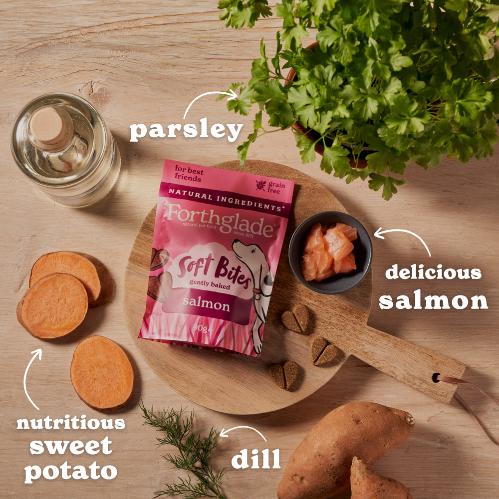 Salmon Treats (1 x 90g)