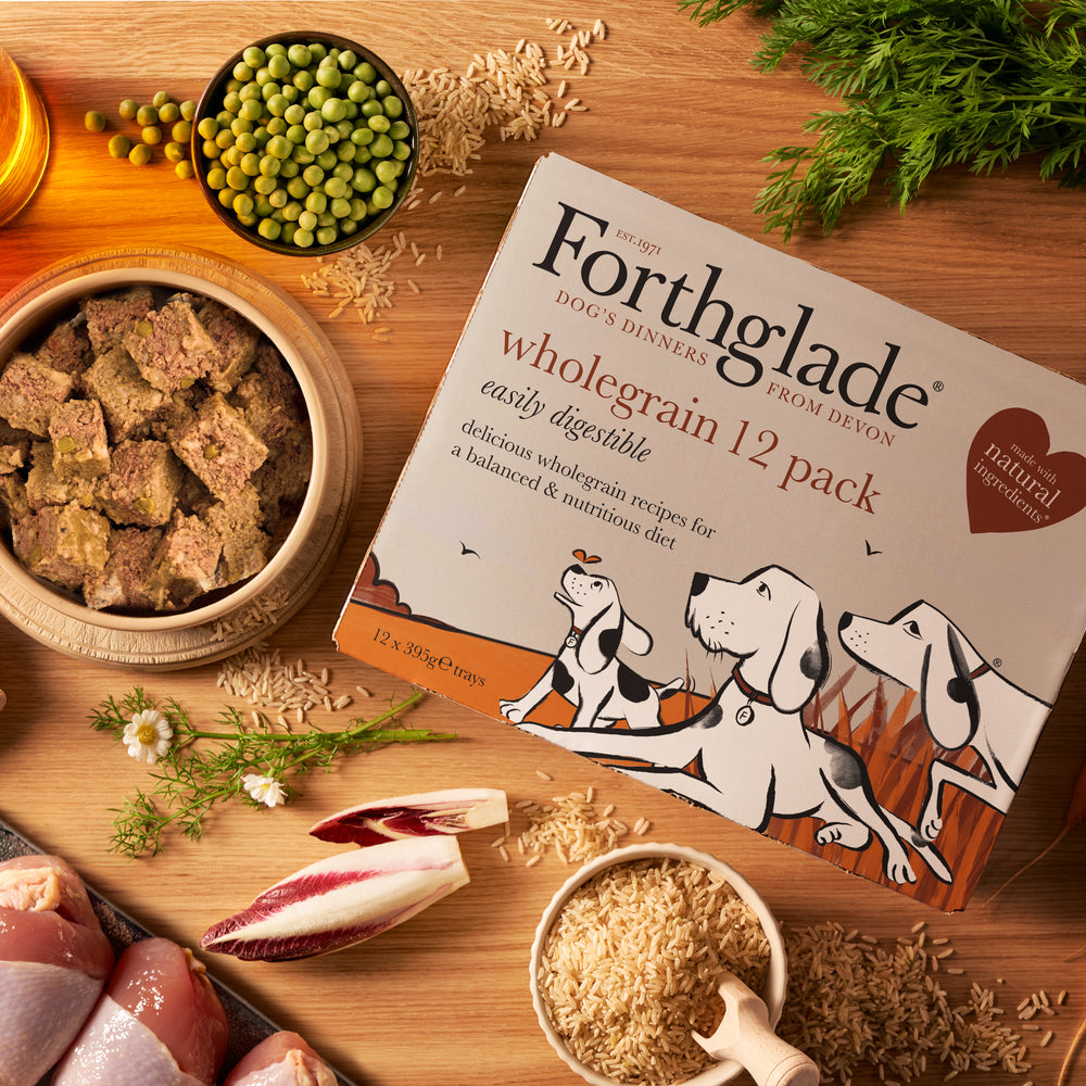 Puppy Duck & Chicken With Brown Rice Wet Dog Food Variety Pack