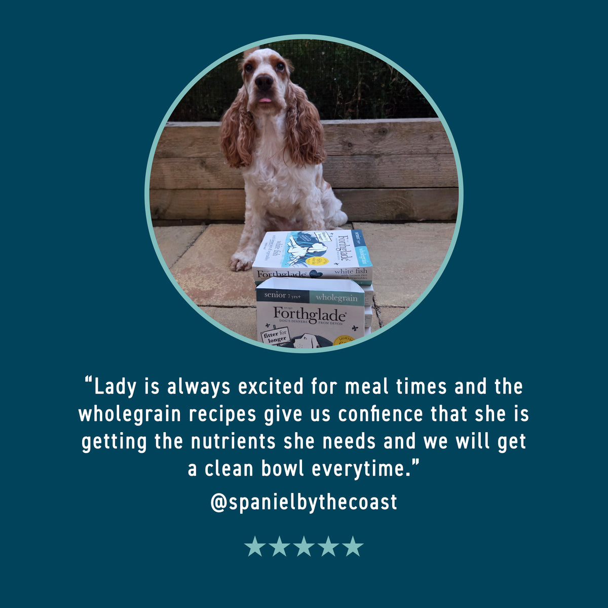 Chicken & Brown Rice Wet Dog Food