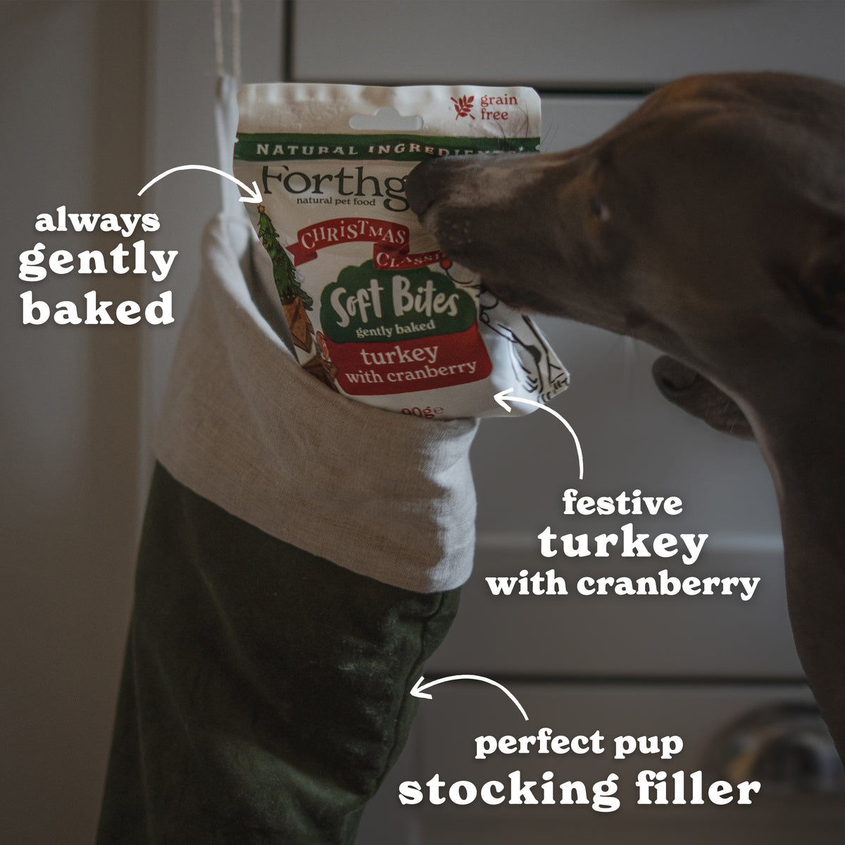Christmas Dog Treats with Turkey & Cranberry (1 x 90g)