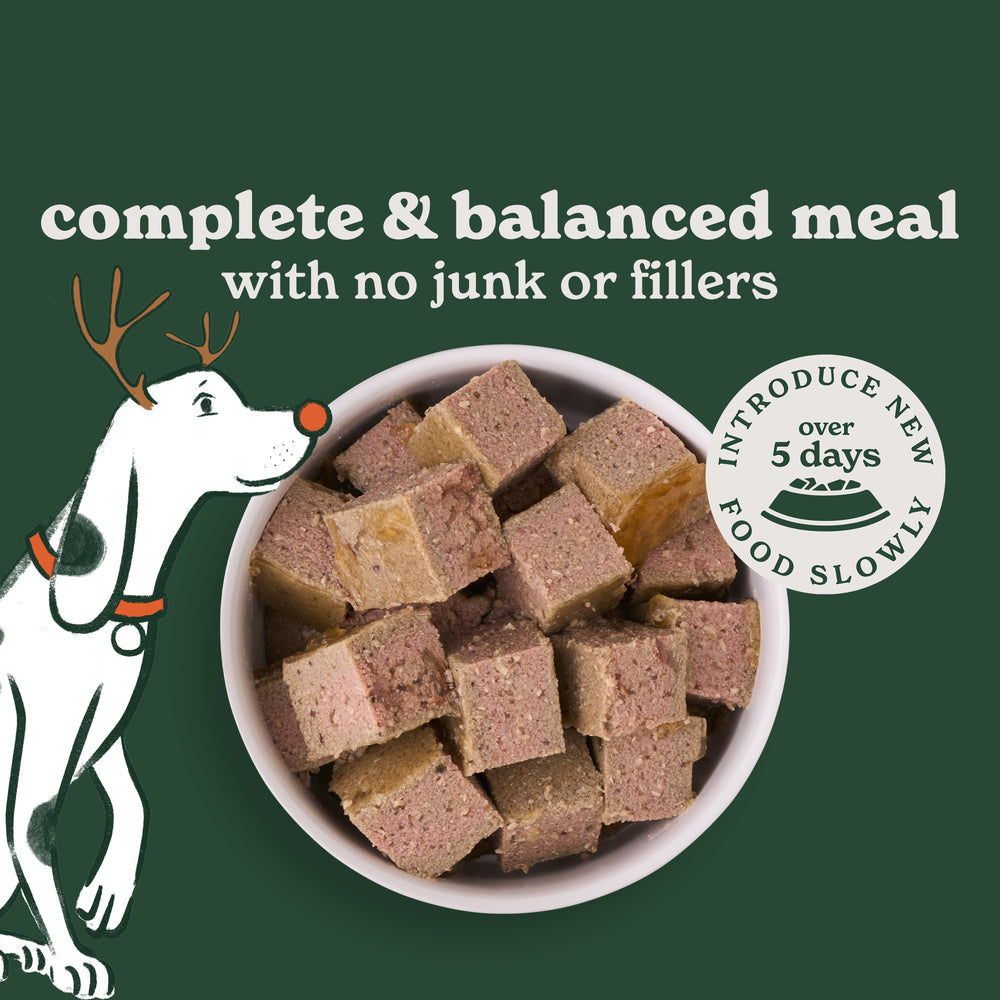 Christmas Classics Cranberry & Parsnip Wet Dog Food