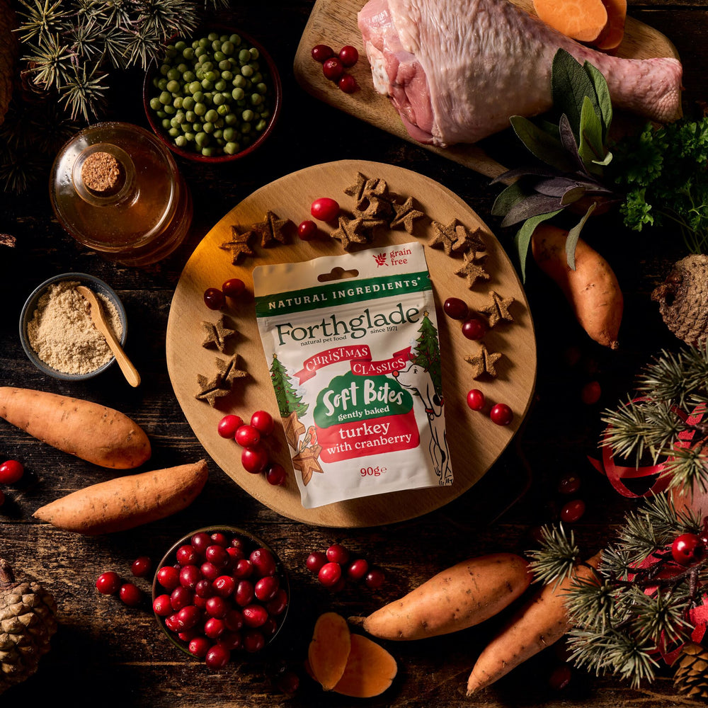 Christmas Dog Treats with Turkey & Cranberry (1 x 90g)